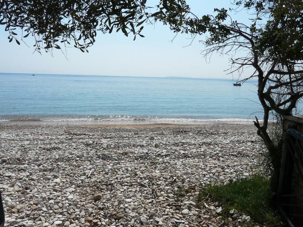 Villa Aliki Barbati Esterno foto